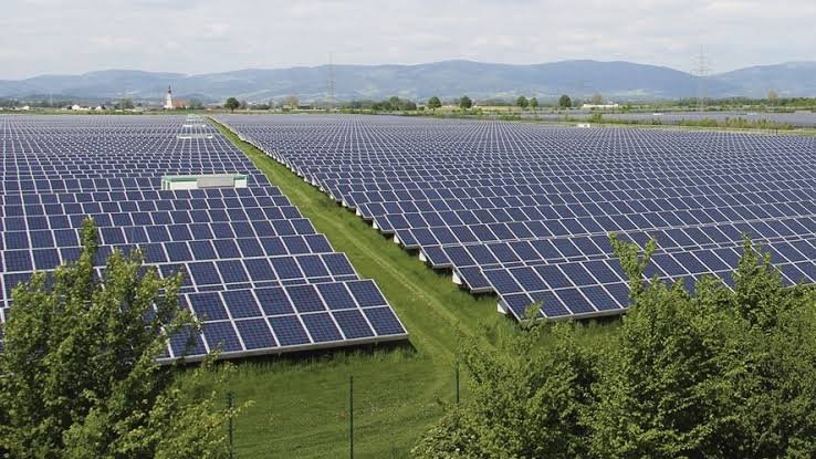 Produtores investem em painéis solares no Paraná